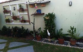 Jardim Das Orquideas 2